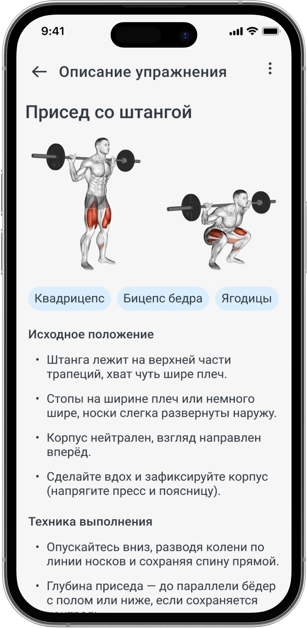База упражнений в Trainistry